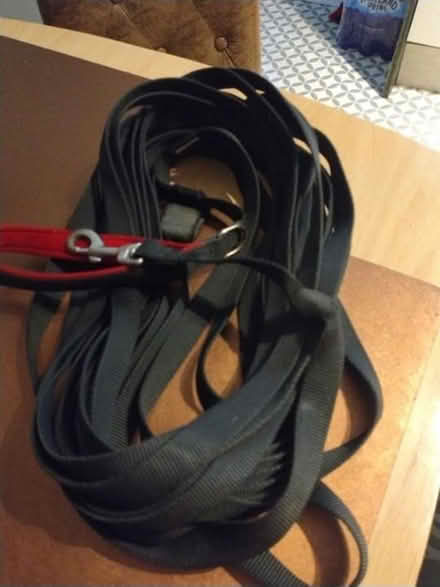 Photo of free 15 meter long training dog lead (Adamsdown CF24) #1