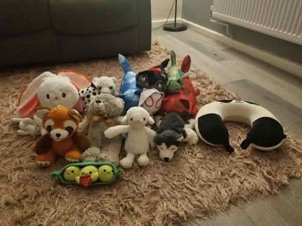 Photo of free Cuddly toys (St Athan CF62) #1