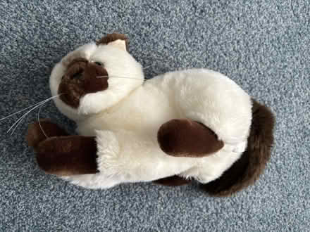 Photo of free 90s Super Soft Cat Plush Toy (Greece, NY) #3