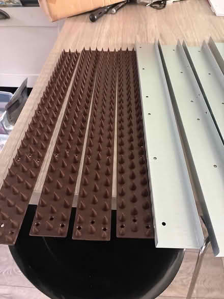 Photo of free Metal strips and fence spikes (Billericay) #1