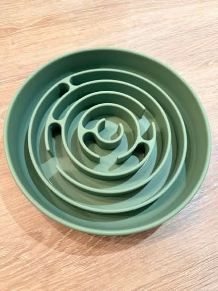 Photo of free Green food maze bowl for pets (Welling DA16) #1