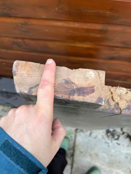 Photo of free Live edge piece of thick oak wood (Chaddesden DE21) #3
