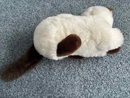 Photo of free 90s Super Soft Cat Plush Toy (Greece, NY) #2