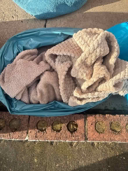Photo of free blankets for dogs, cats, pets (Stockport SK1) #2