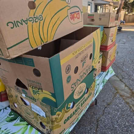 Photo of free Big Boxes (Chiquita Av MtnVw) #3