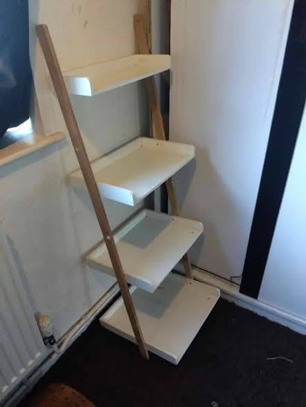 Photo of free Lean to shelves (Stockwood BS14) #1