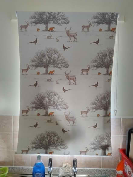 Photo of free Roller blind 77cm wide (GL10) #1