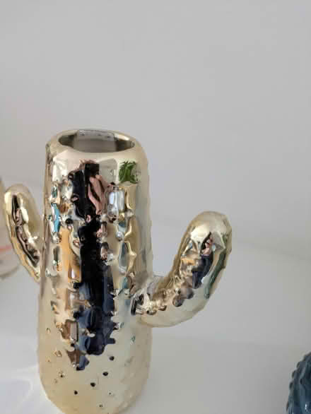 Photo of free Cactus vase ornament - CHIPPED (Twickenham TW2) #2