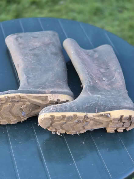 Photo of free Wellie boots. Size 11/45 (Taunton Killams & Mountfield District Ward TA1) #1