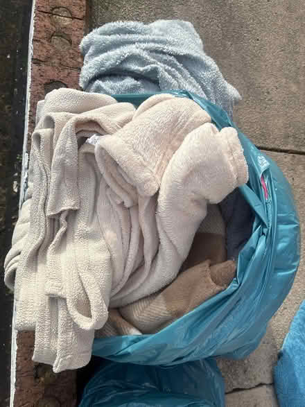 Photo of free blankets for dogs, cats, pets (Stockport SK1) #3