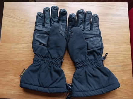 Photo of free Ski gloves , Medium (New Greens) #2