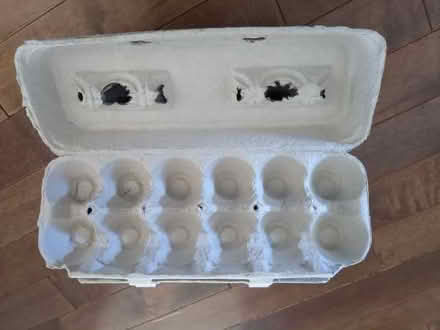 Photo of free 13 egg cartons (Greenwood Rd, Winchester) #1