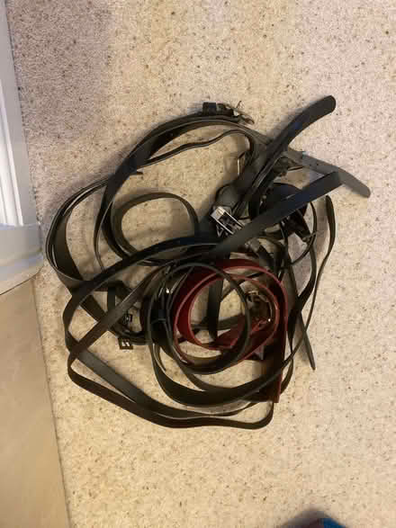 Photo of free Assorted belts (Kendal LA9) #1