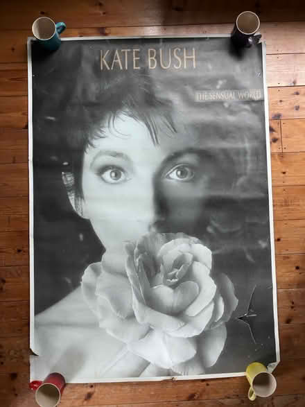 Photo of free Giant Kate Bush poster (Meadowtown SY5) #1