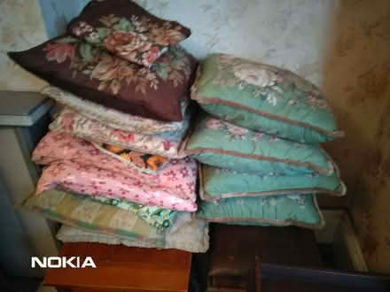 Photo of free Cushions (Little Herberts GL53) #1