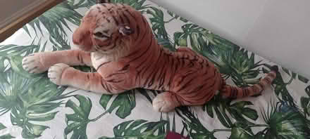 Photo of free Big plush toy (RG6) #1