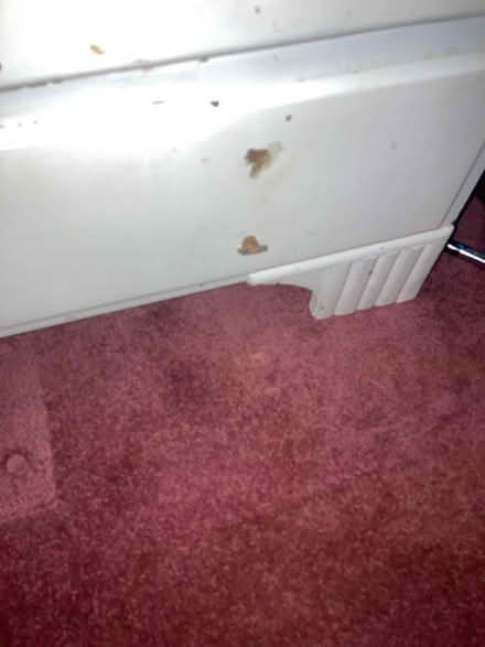 Photo of free Old wooden chest of drawers (CF23 pentwyn) #2