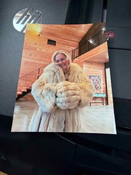 Photo of free HP inkjet printer (Swan Terrace & Fort Hunt Rd) #3