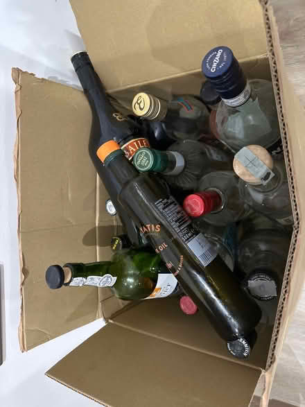 Photo of free Selection of glass bottles (Hillsborough S6) #1