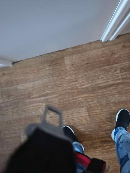 Photo of free Dog's Car Harness (Fiveways Brighton) #3