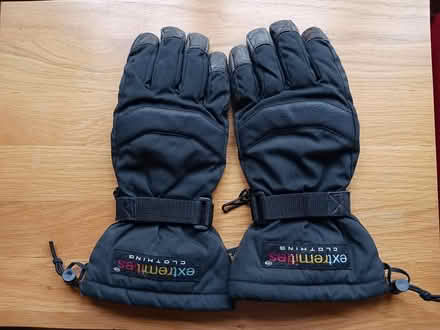Photo of free Ski gloves , Medium (New Greens) #1