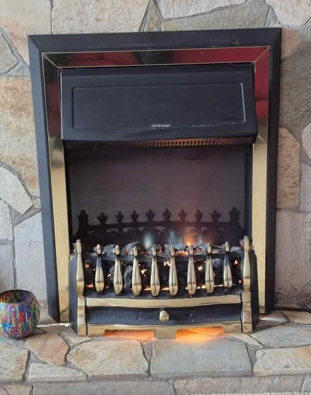Photo of free Dimplex Electric Flame Effect Fire (CT4) #1