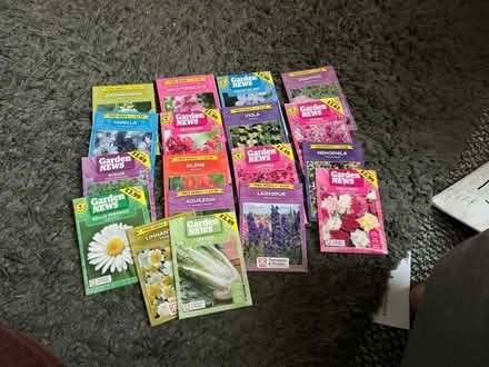 Photo of free Flower seeds (Liverpool 13 /Stoneycroft) #1