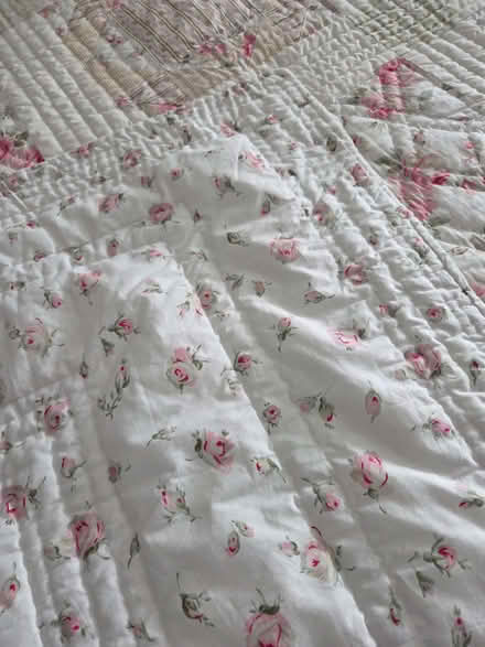 Photo of free King size Bedspread (Freshford BA2) #3