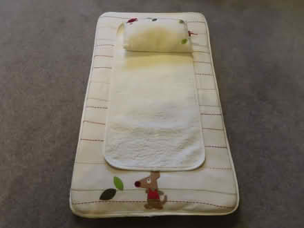 Photo of free Baby changing mat (Hawarden CH5) #2