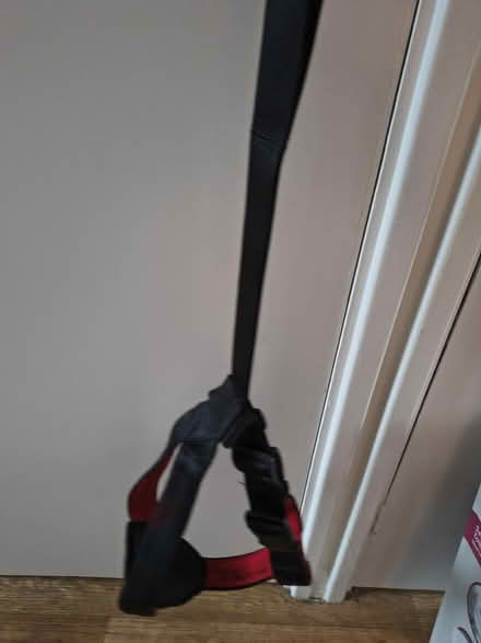 Photo of free Dog's Car Harness (Fiveways Brighton) #2