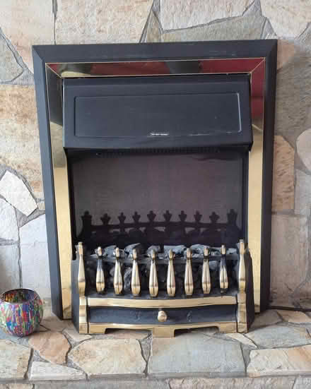 Photo of free Dimplex Electric Flame Effect Fire (CT4) #2