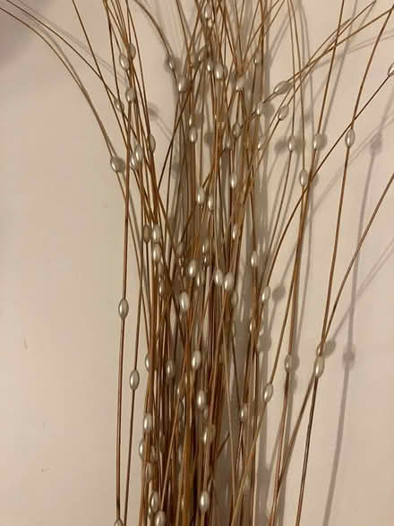 Photo of free Dried Flower/Grasses-Type Arrangements (Bilton HG1) #1