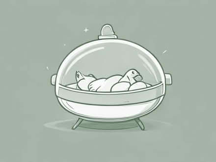 Photo of Incubator for hen eggs (Patterdale CA11) #1