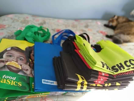 Photo of free Heaps of reusable bags (Dow’s Lake) #1