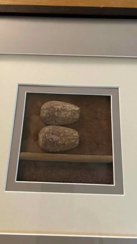 Photo of free Natural Elements in Box frame x 2 (Covingham SN3) #3