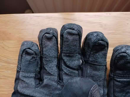 Photo of free Ski gloves , Medium (New Greens) #3