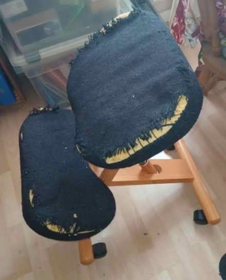 Photo of free Knee stool (Stretford M32) #1