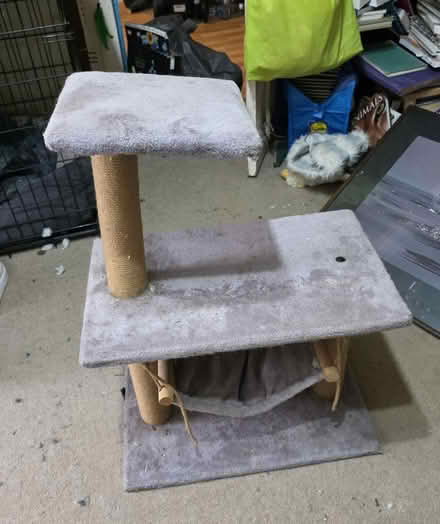 Photo of free Small cat tree (CH43 prenton) #1