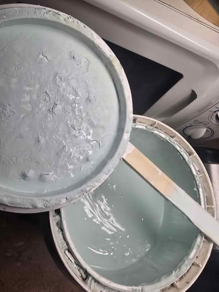 Photo of free Paint (Tq13bs) #2