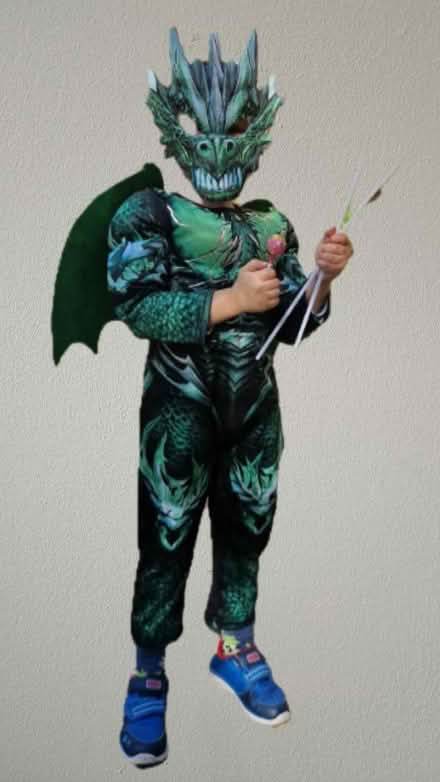 Photo of free Dragon costume for 3-4 year old (Lower Earley RG6) #1
