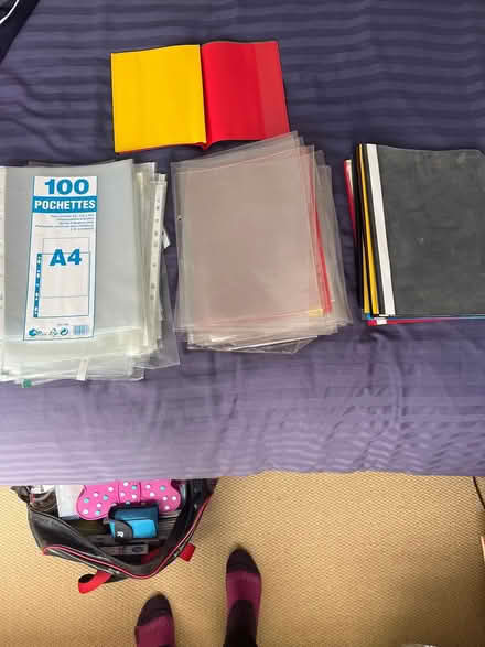 Photo of free Plastic Pouches/Folders (Colehill BH21) #1