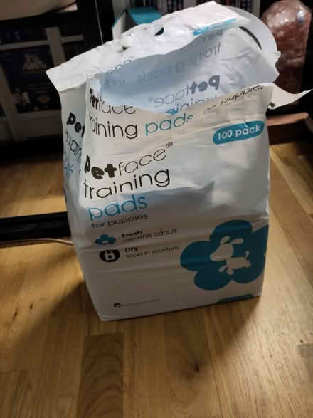 Photo of free Puppy training pads (Stondon Massey CM15) #1