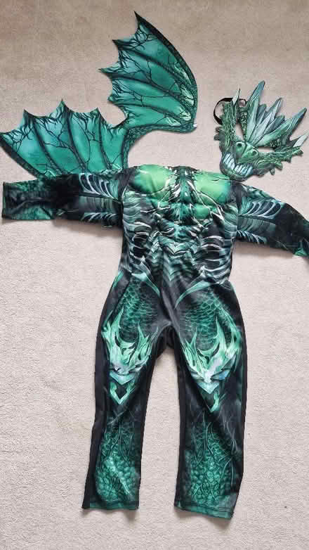 Photo of free Dragon costume for 3-4 year old (Lower Earley RG6) #3