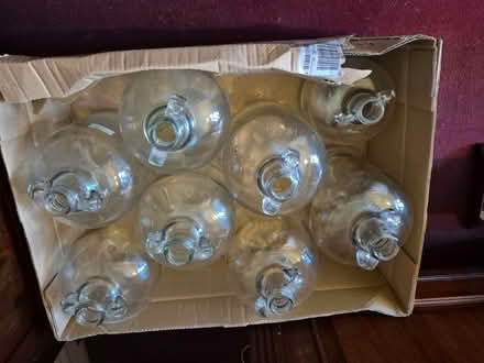 Photo of free Demi-johns x7 (Enfield EN2) #3