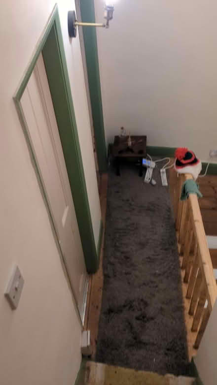 Photo of free Grey runner (Walkley, S6) #1