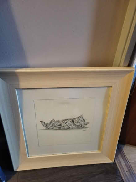 Photo of free Cat picture (Dursley) #1