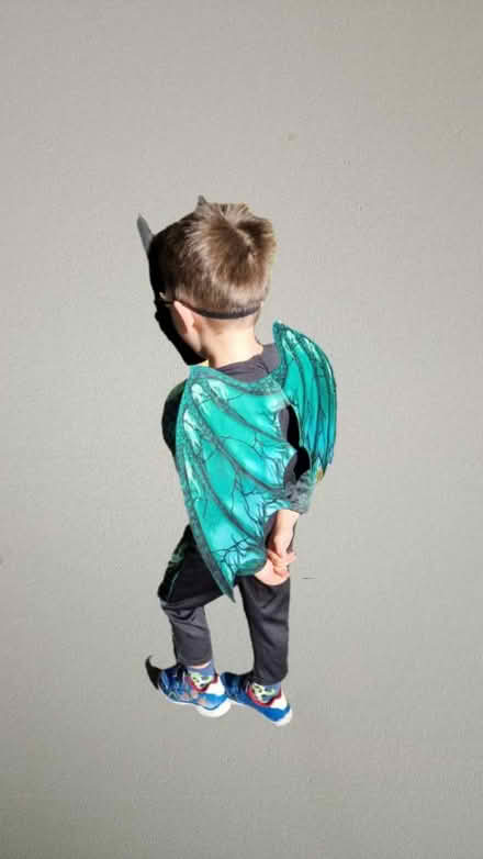 Photo of free Dragon costume for 3-4 year old (Lower Earley RG6) #2