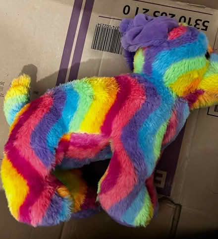 Photo of free Dog teddy (Chatham ME4) #2