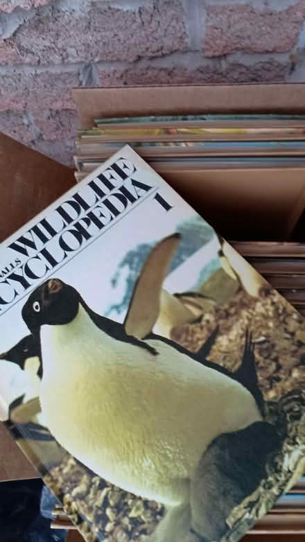 Photo of free Wildlife encyclopedia set (Acton) #1