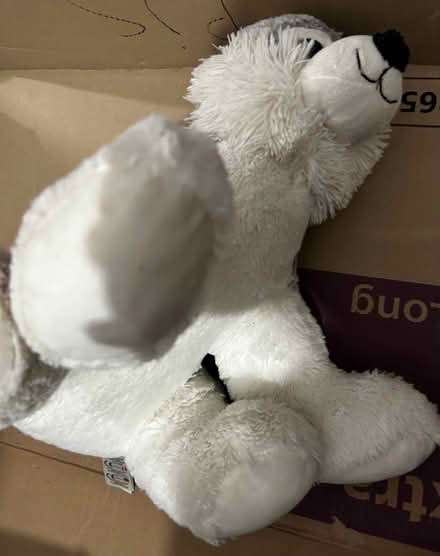 Photo of free Fox teddy (Chatham ME4) #4